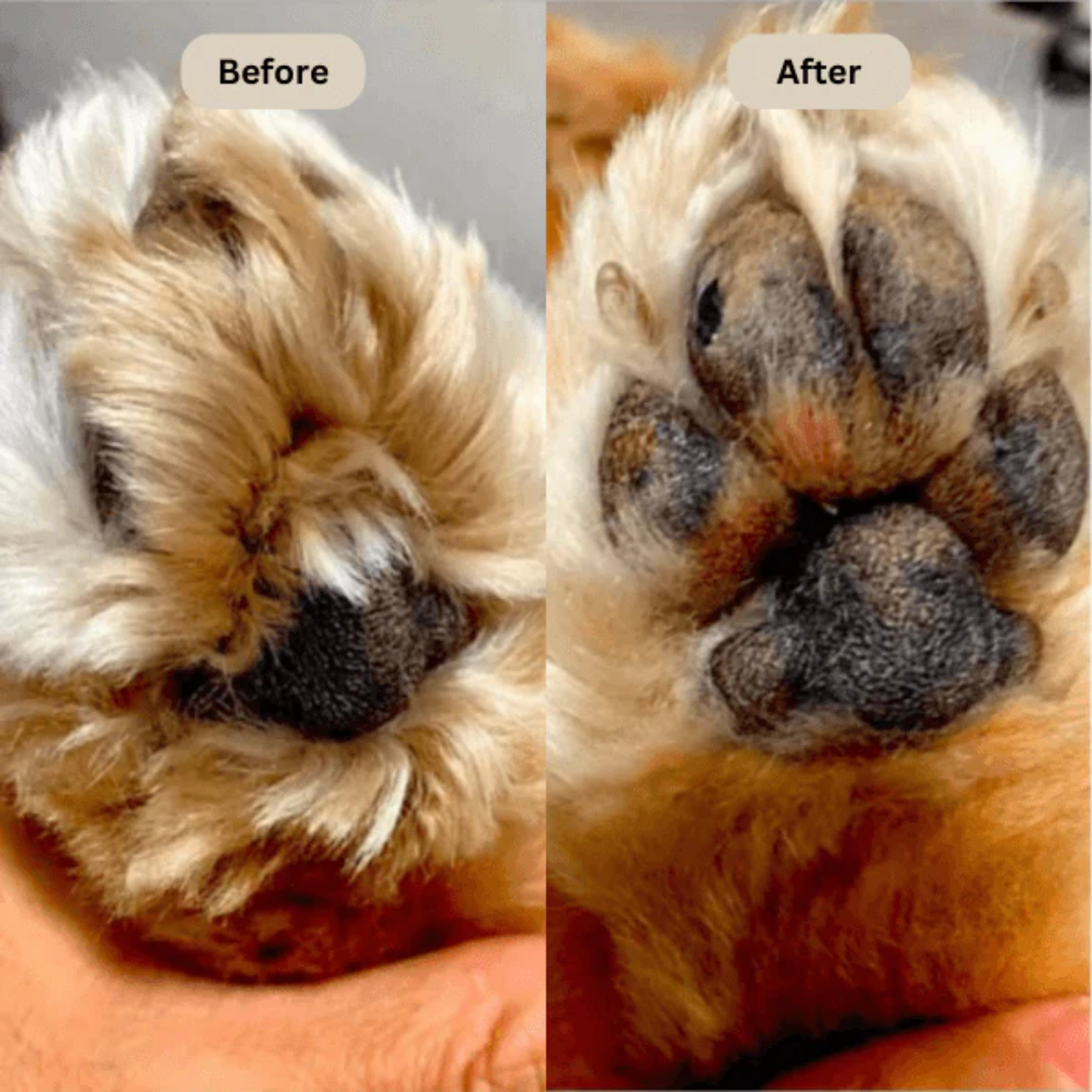 SoftWhisk PawTrim Pro - Rechargeable Pet Paw Trimmer